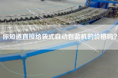 你知道直接給袋式自動包裝機的價格嗎？