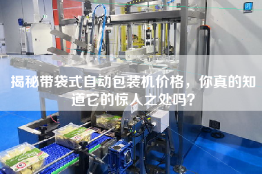 揭秘帶袋式自動(dòng)包裝機(jī)價(jià)格，你真的知道它的驚人之處嗎？