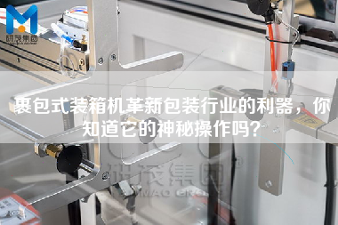 裹包式裝箱機(jī)革新包裝行業(yè)的利器，你知道它的神秘操作嗎？