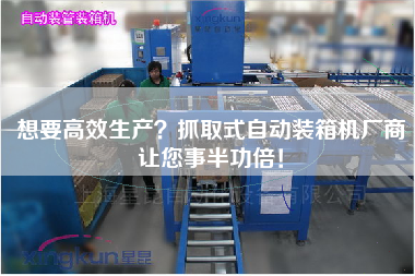 想要高效生產(chǎn)？抓取式自動(dòng)裝箱機(jī)廠商讓您事半功倍！