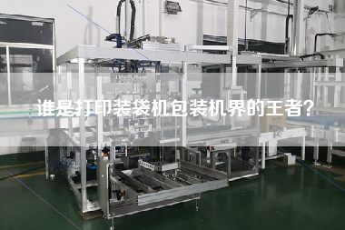 誰是打印裝袋機(jī)包裝機(jī)界的王者？