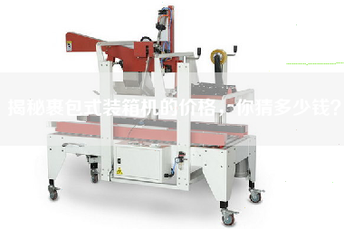 揭秘裹包式裝箱機(jī)的價格，你猜多少錢？