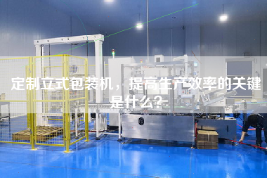 定制立式包裝機(jī)，提高生產(chǎn)效率的關(guān)鍵是什么？