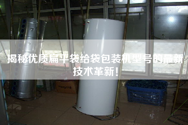揭秘優(yōu)質扁平袋給袋包裝機型號的最新技術革新！