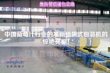 中國藍(lán)莓汁行業(yè)的革新給袋式包裝機(jī)的驚艷亮相！