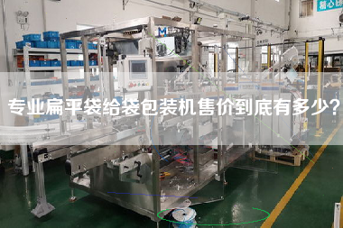 專業(yè)扁平袋給袋包裝機售價到底有多少？