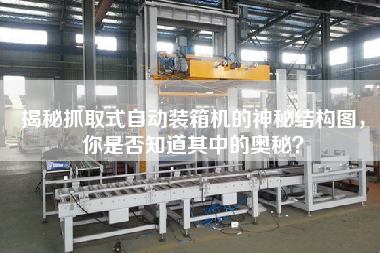 揭秘抓取式自動裝箱機(jī)的神秘結(jié)構(gòu)圖，你是否知道其中的奧秘？
