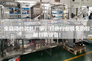 全自動包裝機廠家，打造行業(yè)領(lǐng)先的智能包裝設(shè)備！