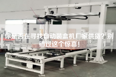 你是否在尋找自動裝盒機廠家供貨？別錯過這個驚喜！