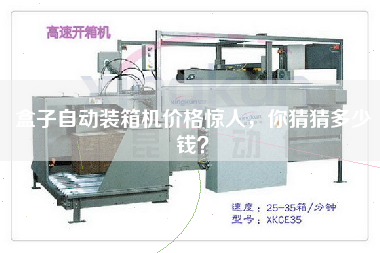 盒子自動裝箱機價格驚人，你猜猜多少錢？