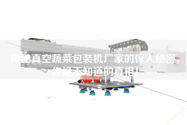 揭秘真空蔬菜包裝機(jī)廠家的驚人秘密，你絕不知道的真相！