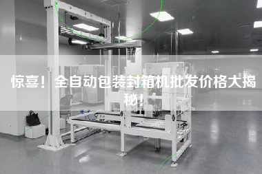 驚喜！全自動包裝封箱機批發(fā)價格大揭秘！