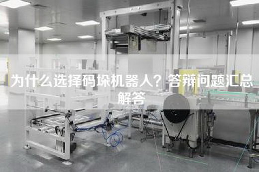 為什么選擇碼垛機(jī)器人？答辯問題匯總解答