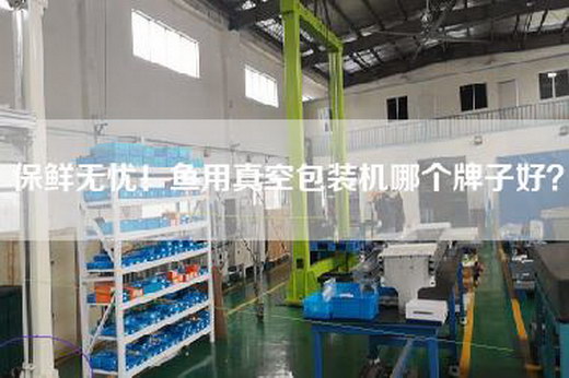 保鮮無憂！魚用真空包裝機(jī)哪個牌子好？