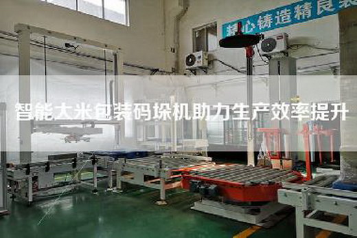 智能大米包裝碼垛機(jī)助力生產(chǎn)效率提升