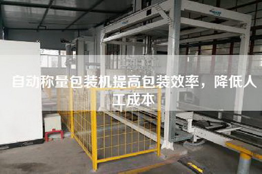 自動(dòng)稱量包裝機(jī)提高包裝效率，降低人工成本