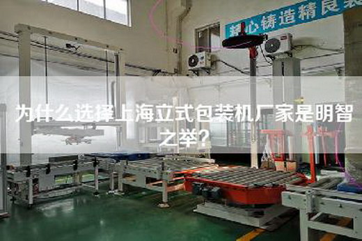 為什么選擇上海立式包裝機(jī)廠家是明智之舉？