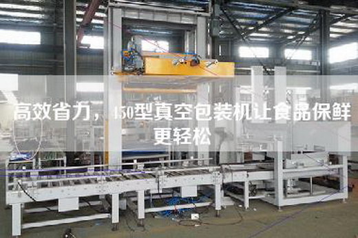 高效省力，450型真空包裝機(jī)讓食品保鮮更輕松