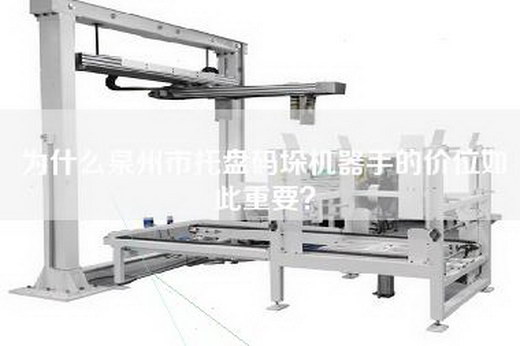 為什么泉州市托盤碼垛機(jī)器手的價(jià)位如此重要？