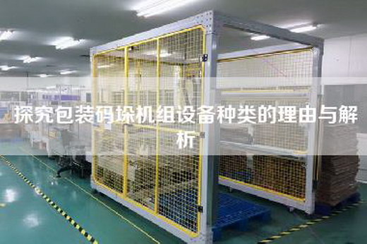 探究包裝碼垛機(jī)組設(shè)備種類的理由與解析