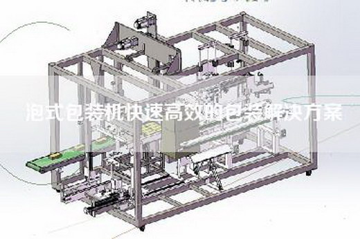 泡式包裝機(jī)快速高效的包裝解決方案
