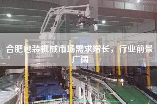 合肥包裝機械市場需求增長，行業(yè)前景廣闊