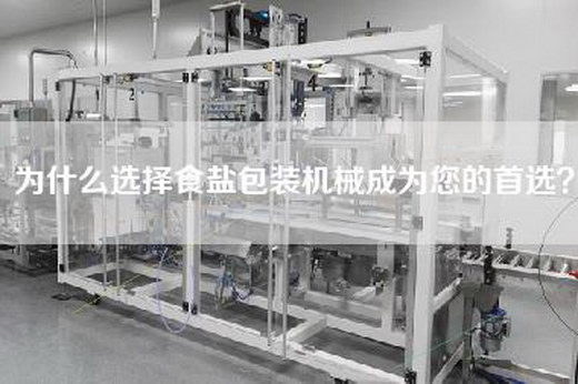 為什么選擇食鹽包裝機(jī)械成為您的首選？