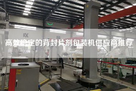 高效穩(wěn)定的背封片劑包裝機供應(yīng)商推薦