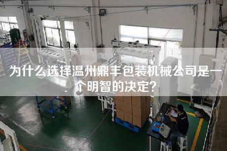為什么選擇溫州鼎豐包裝機(jī)械公司是一個(gè)明智的決定？