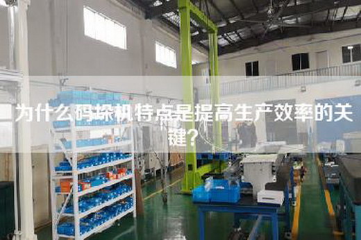 為什么碼垛機(jī)特點(diǎn)是提高生產(chǎn)效率的關(guān)鍵？