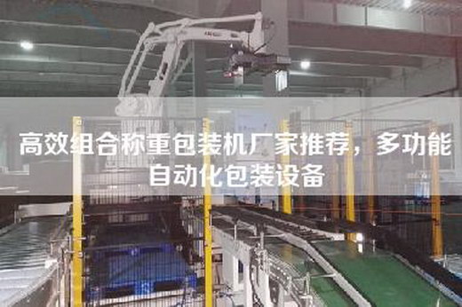 高效組合稱(chēng)重包裝機(jī)廠(chǎng)家推薦，多功能自動(dòng)化包裝設(shè)備