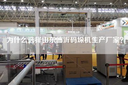 為什么選擇山東臨沂碼垛機(jī)生產(chǎn)廠家？
