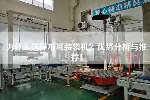 為什么選擇木耳裝袋機(jī)？?jī)?yōu)勢(shì)分析與推薦！