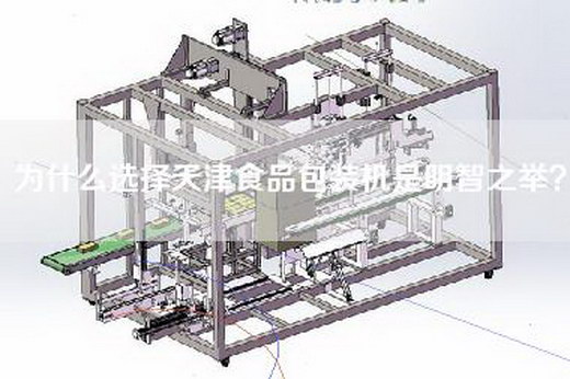 為什么選擇天津食品包裝機是明智之舉？