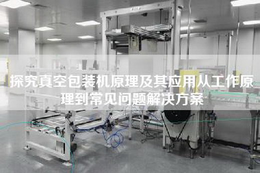 探究真空包裝機原理及其應(yīng)用從工作原理到常見問題解決方案