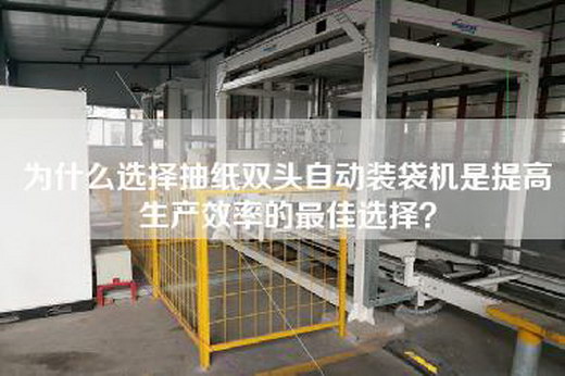 為什么選擇抽紙雙頭自動(dòng)裝袋機(jī)是提高生產(chǎn)效率的最佳選擇？