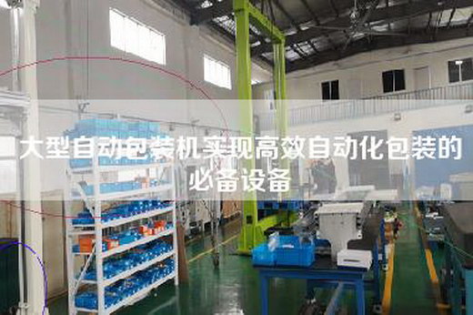 大型自動(dòng)包裝機(jī)實(shí)現(xiàn)高效自動(dòng)化包裝的必備設(shè)備