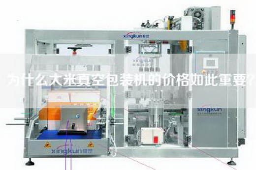 為什么大米真空包裝機的價格如此重要？