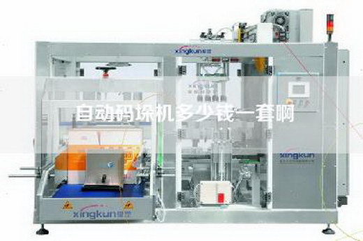 自動碼垛機(jī)多少錢一套啊
