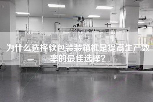 為什么選擇軟包裝裝箱機是提高生產效率的最佳選擇？